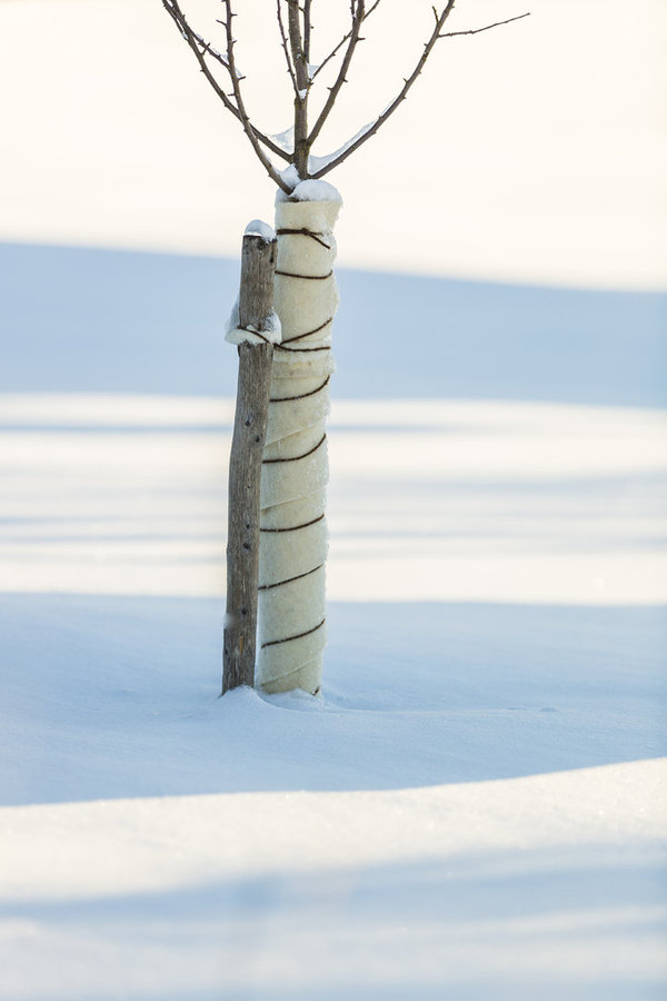 Winterschutzmatte aus Schafwolle, 200 x 100 x 0,5 cm, 500 g/m², naturweiß